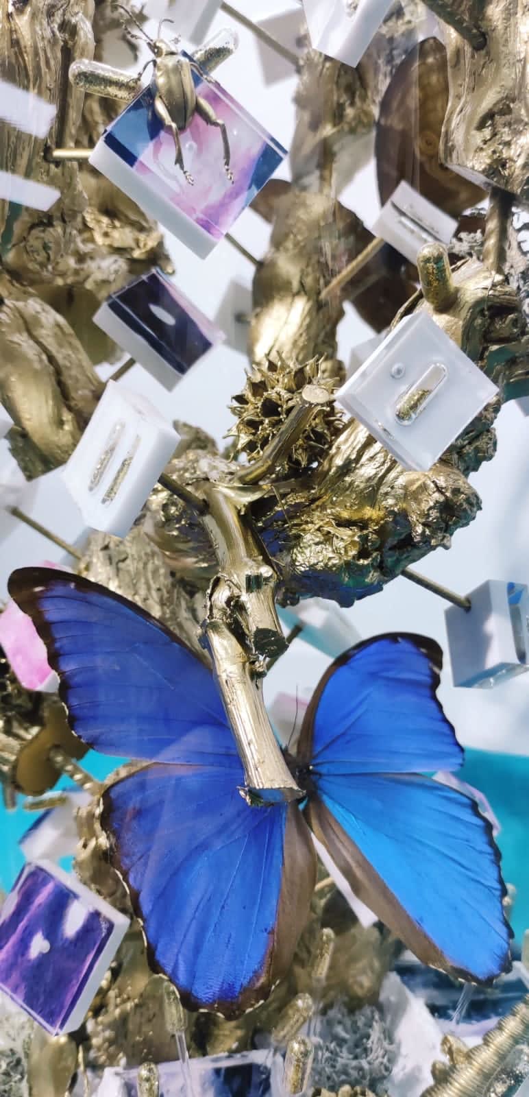 Vlindereffect ROD hedendaagse kunst muurinstallatie muurkunst witte muursculptuur harskunst moderne interieurkunst yi kunstgalerij brussel