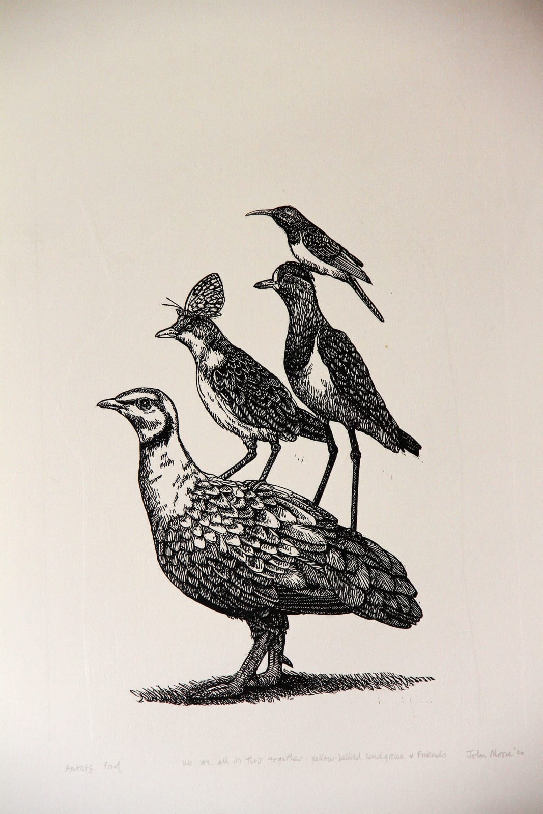 John Moore, We are all in this together: Yellow Bellied Bullet and Friends, 2020