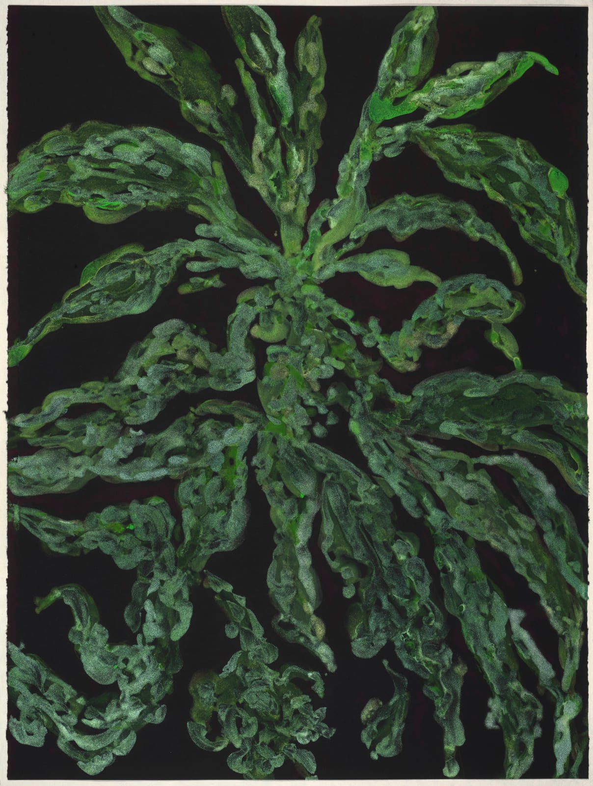 Sue Martin, Flourishing II, 2024