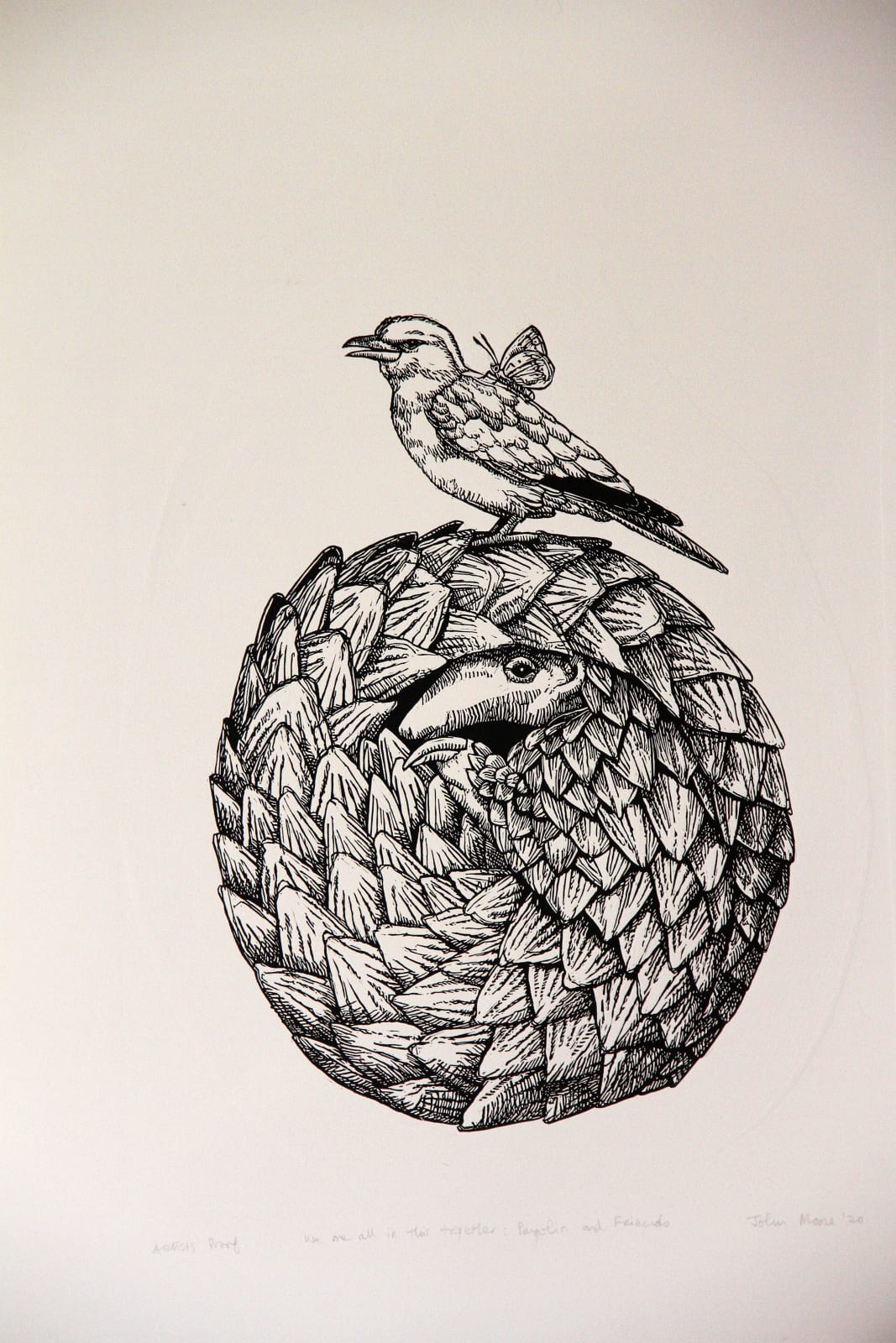 John Moore, We are all in this together: Pangolin and Friends, 2020