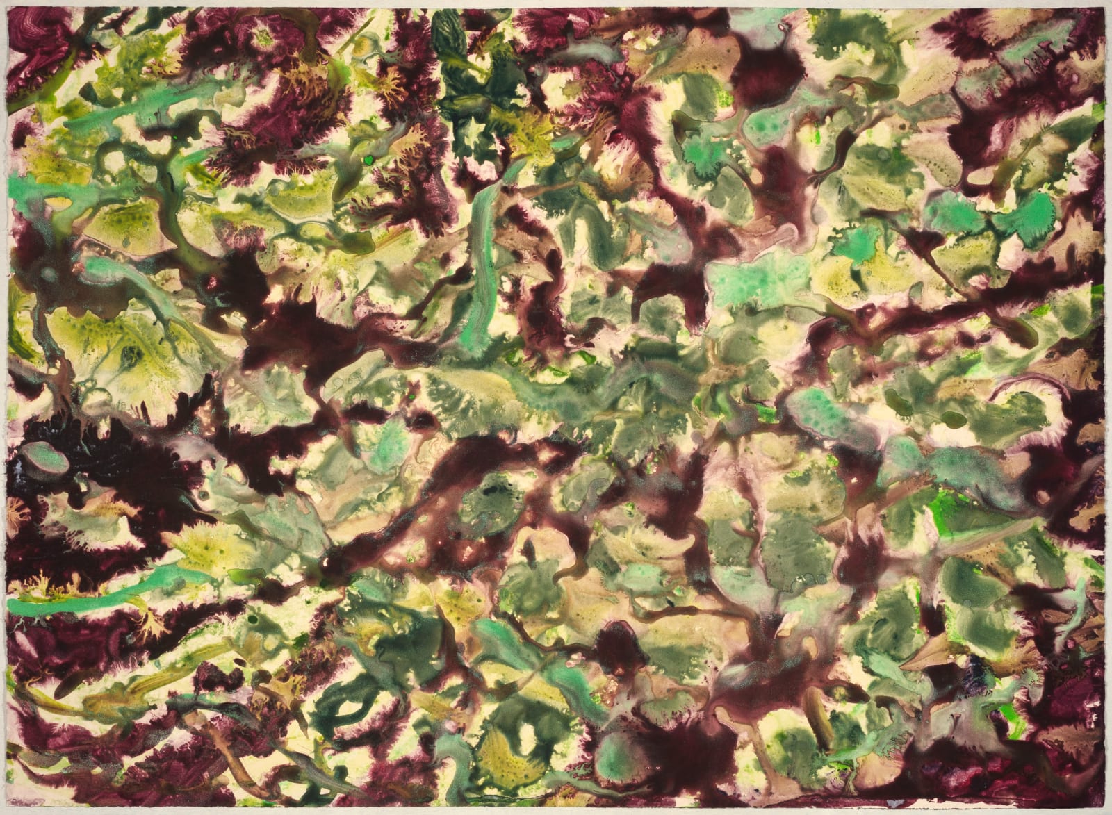 Sue Martin, Verdant, 2024