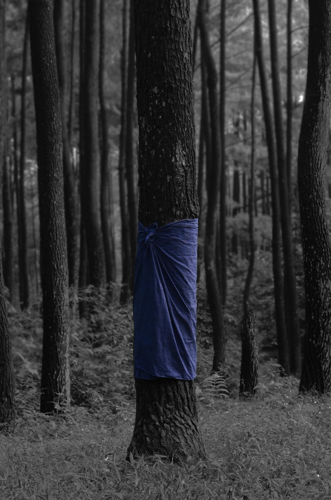 Alexander Sebastianus, Utan #1 (Ilford), 2021