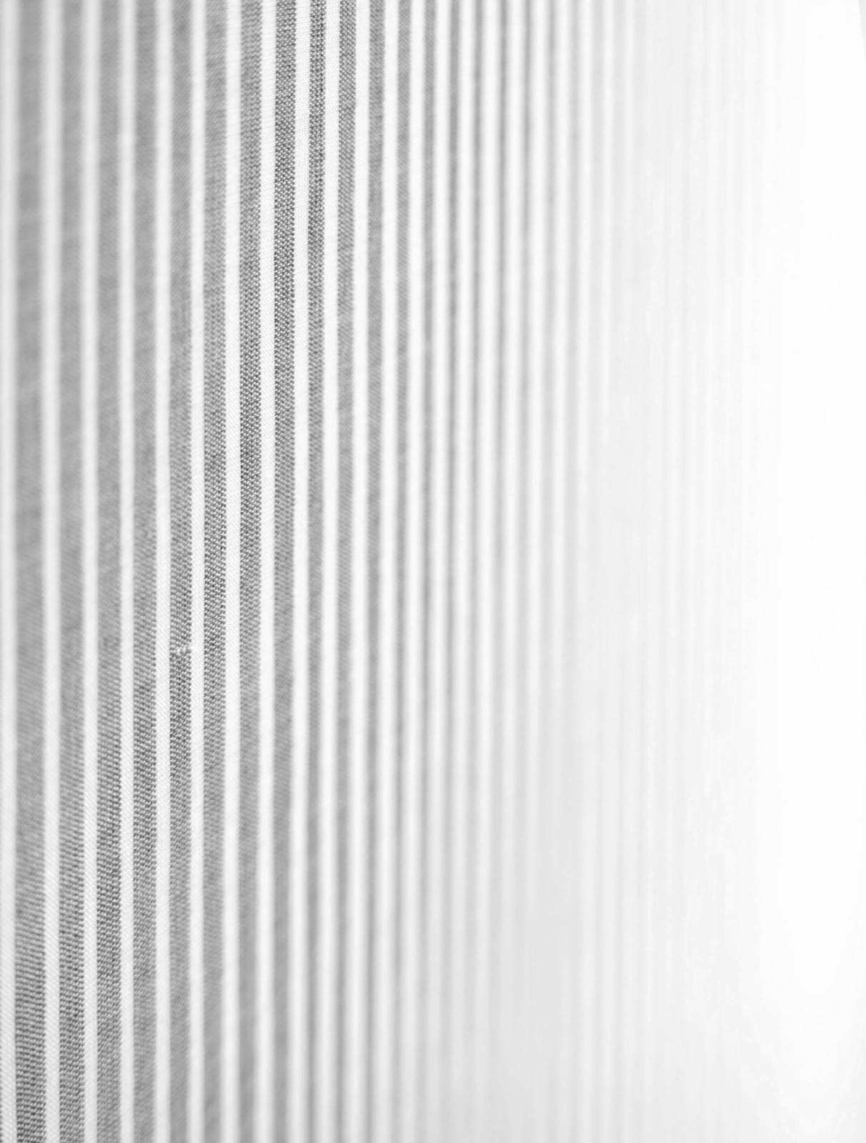 Alexander Sebastianus, Menjelang Masa, 2022