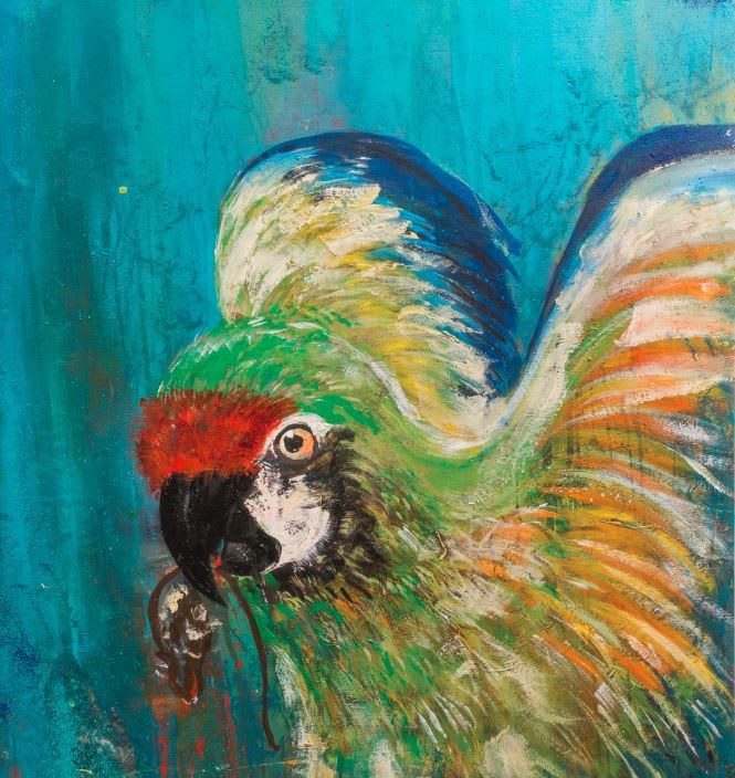 Pedro Versteeg, The Pirat, 2019