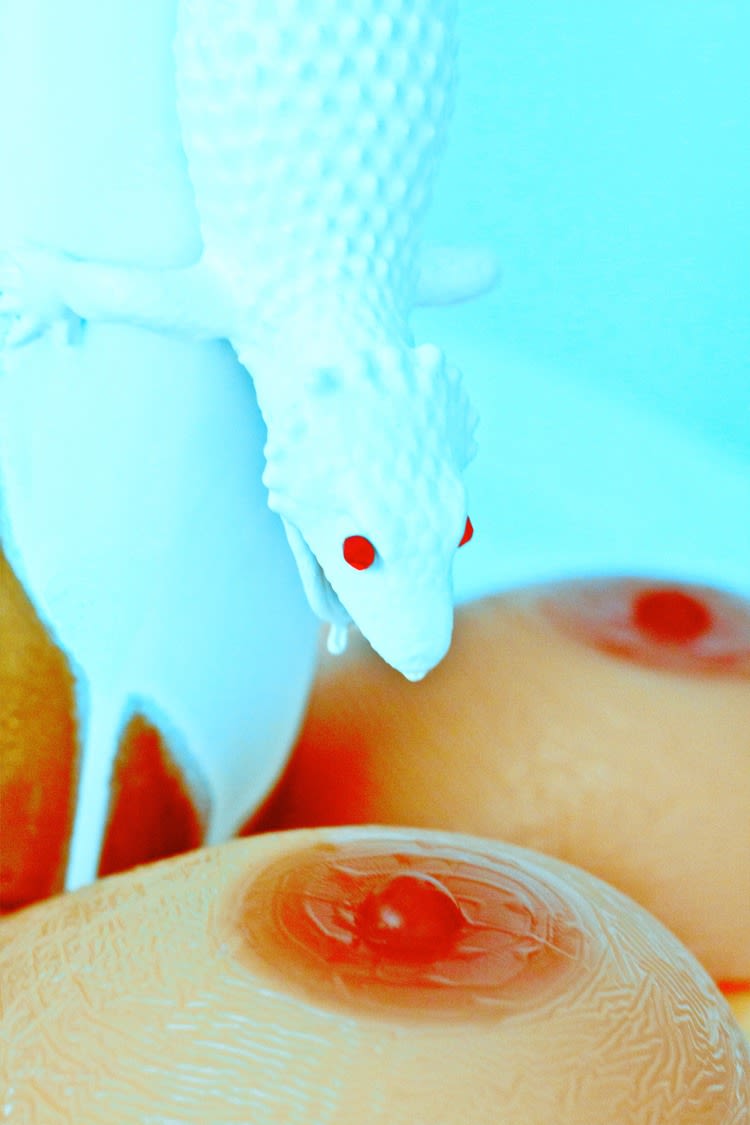 Tartaruga Loira, Mito, 2018