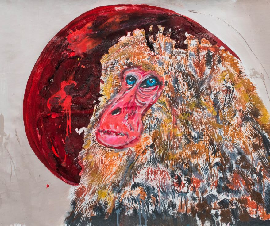 Pedro Versteeg, Saru, 2019