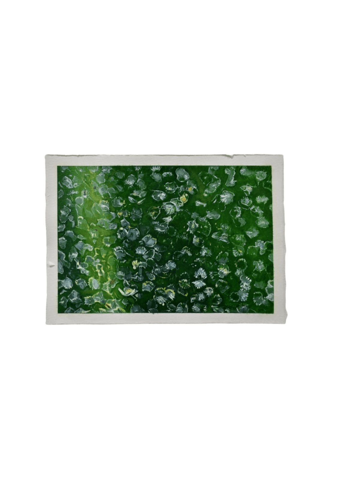 Zoë Sua Kay, Oliveira V, 2021