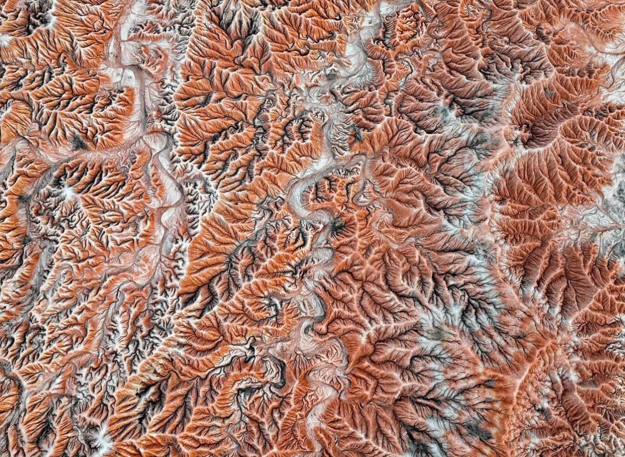 Clara Garrido, Interplanetary 005