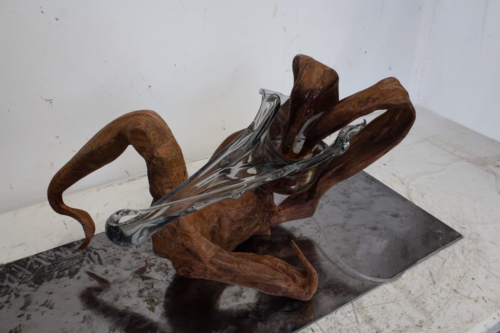 Elinor Haynes, Drowning , 2024