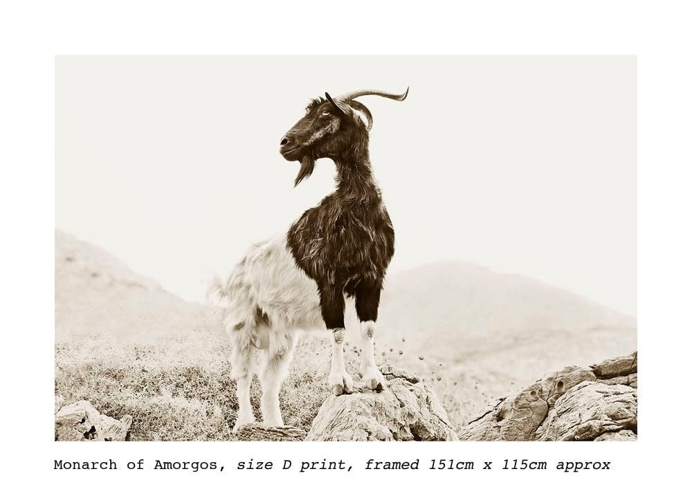 Stuart Redler, Monarch of Amorgos, Greece