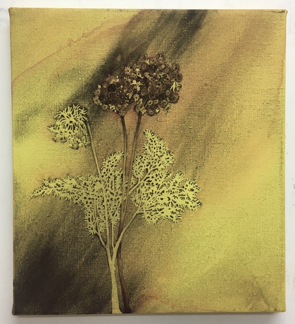 Hannah Maybank, Aurora Tilt, 2022