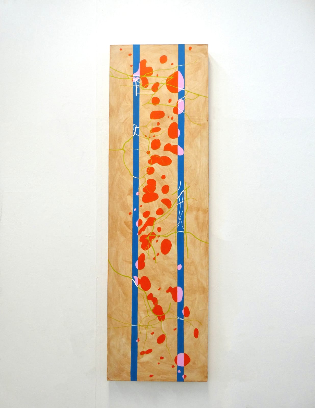 Aneira Thomas, Tentacle 34818