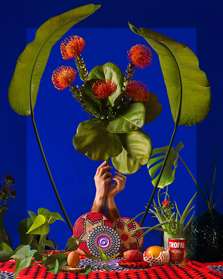 Violeta Sofia, Flame Giant Crest