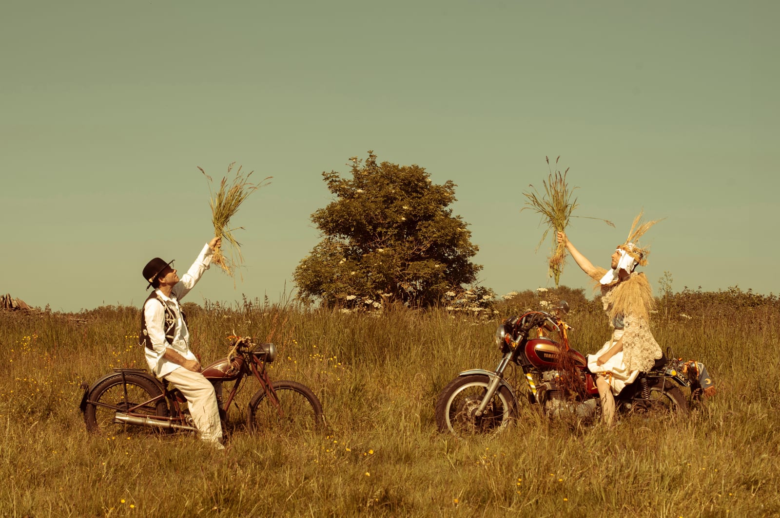 Libby Bove, Hedgers at Midday, 2023