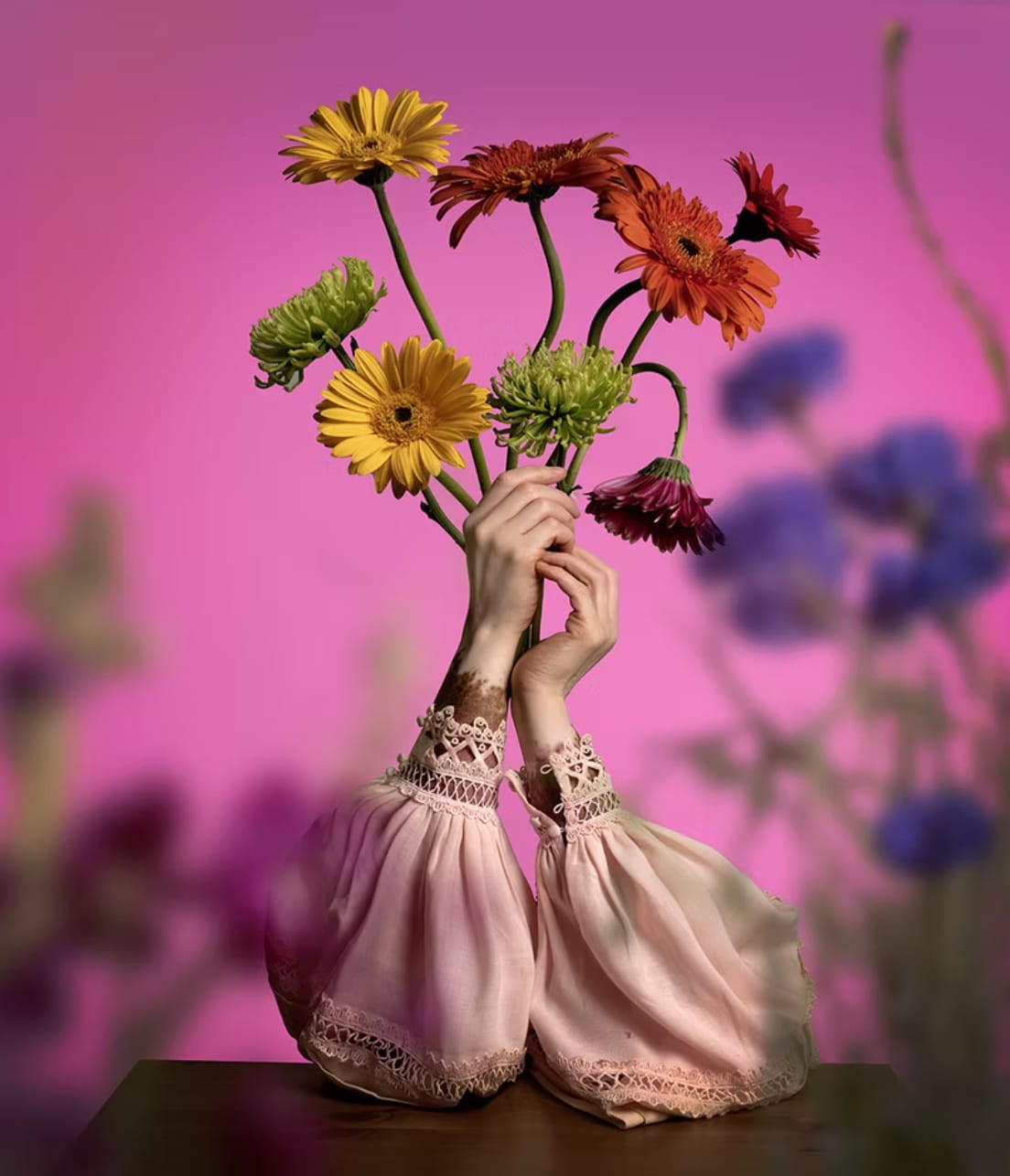 Violeta Sofia, Daisies