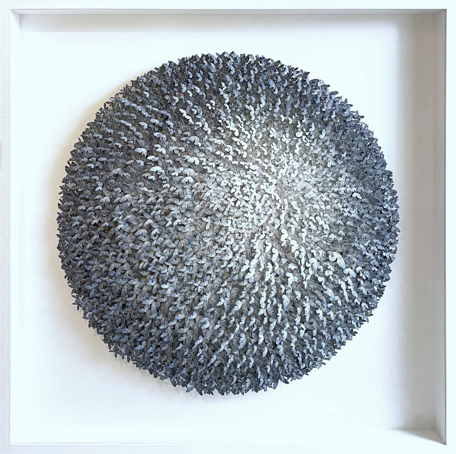 Susila Bailey-Bond, Blue Moon