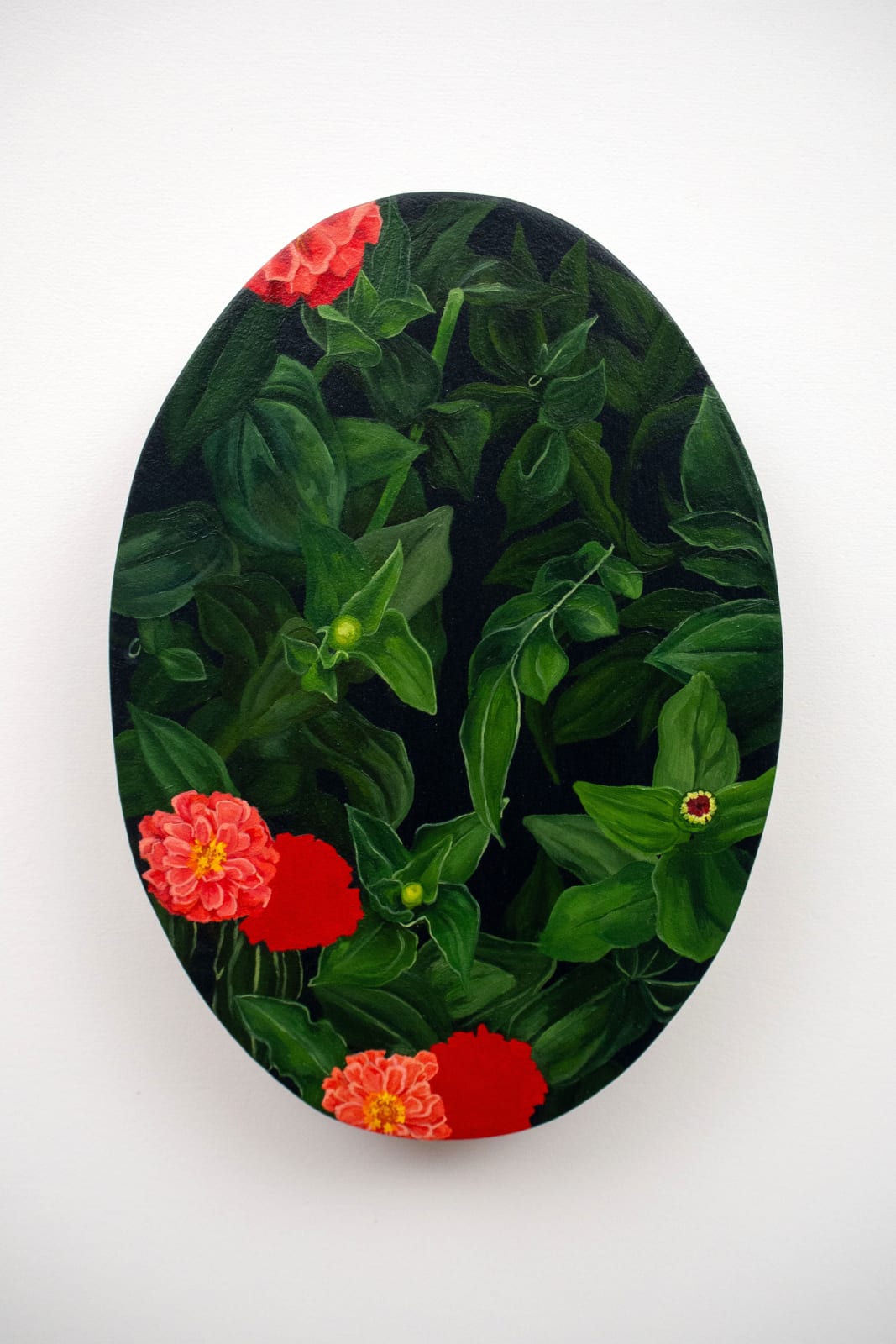 Charlotte Lloyd, Ignite