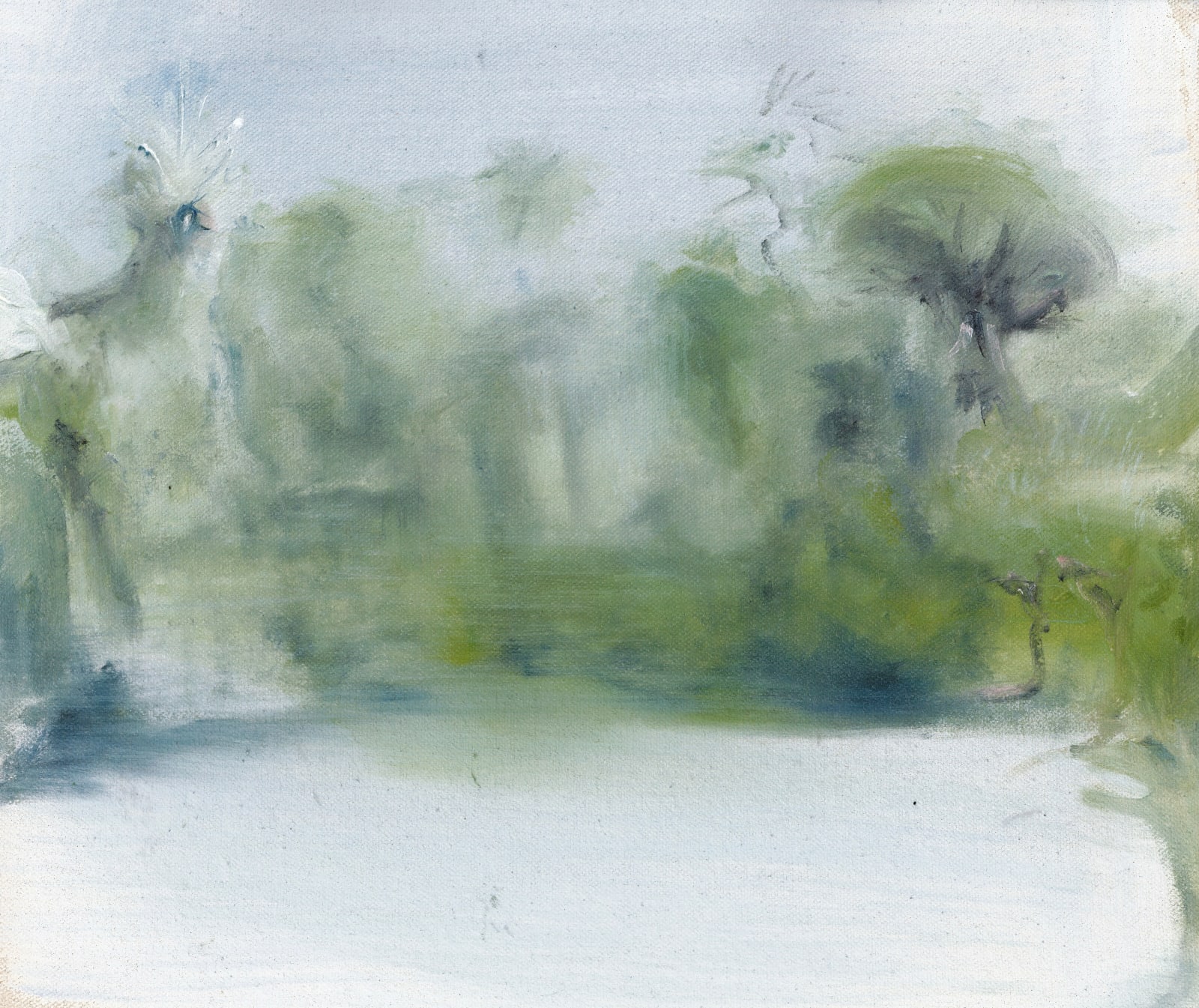 Claudia Pons Bonham, Pajaros en la niebla II, 2024