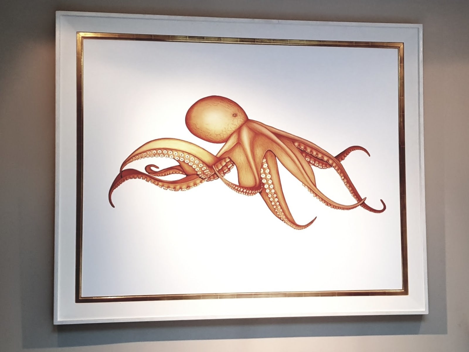 Beatrice Ridley, Octopus