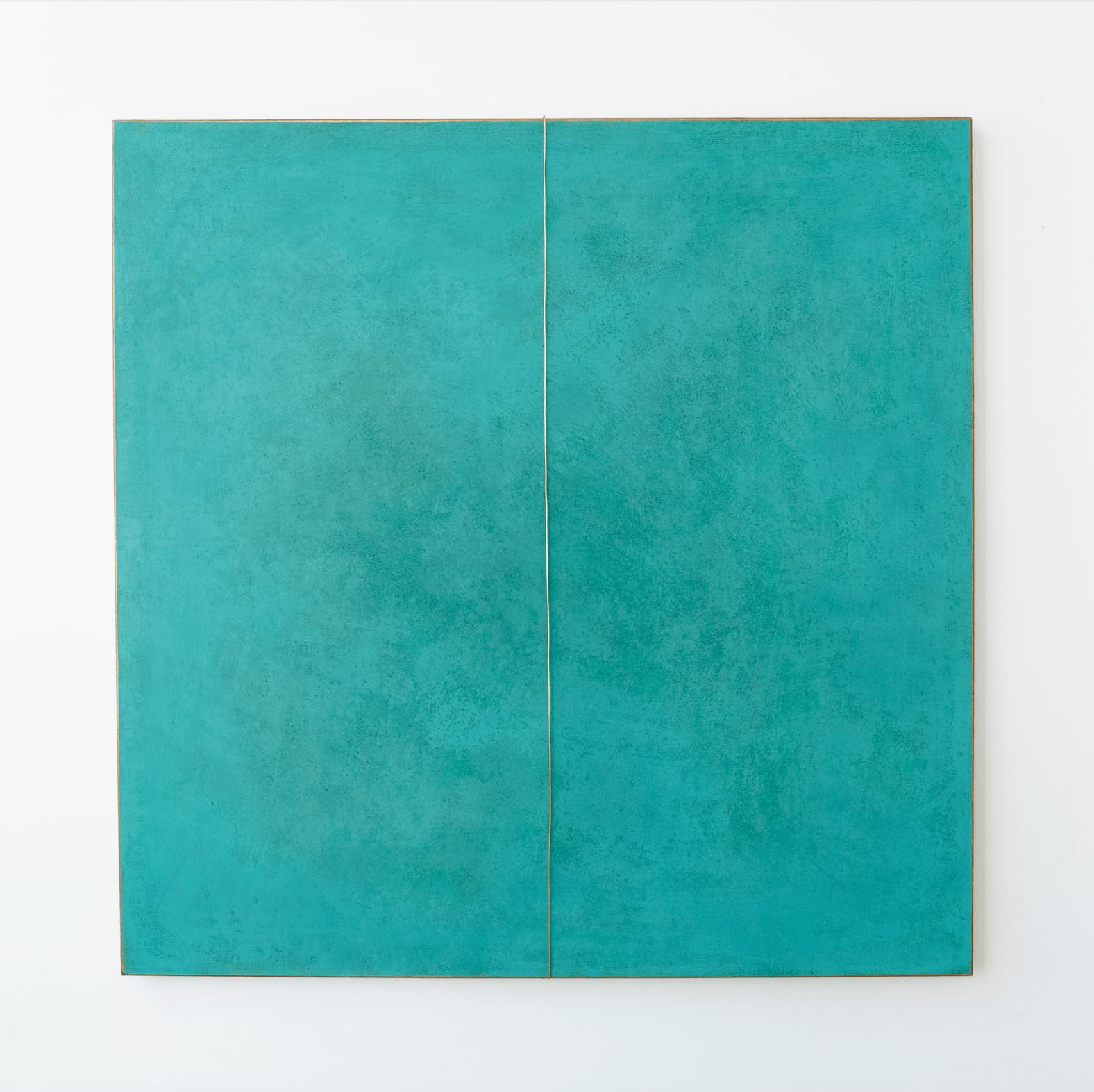 Silvia Lerin, Copper Skin IX