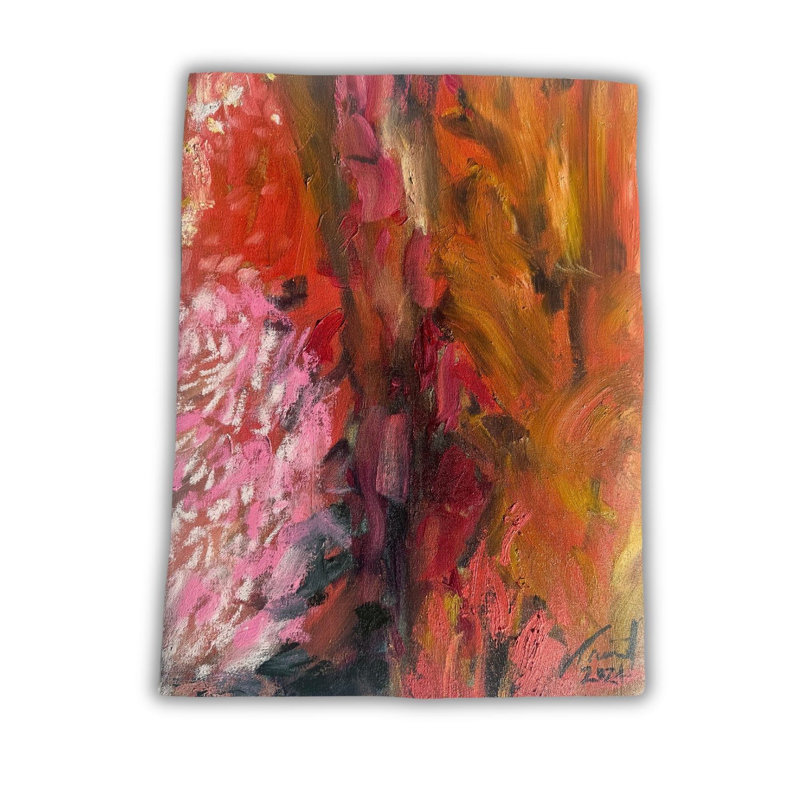 Carmel Van Der Hoeven, Anew 3, 2024