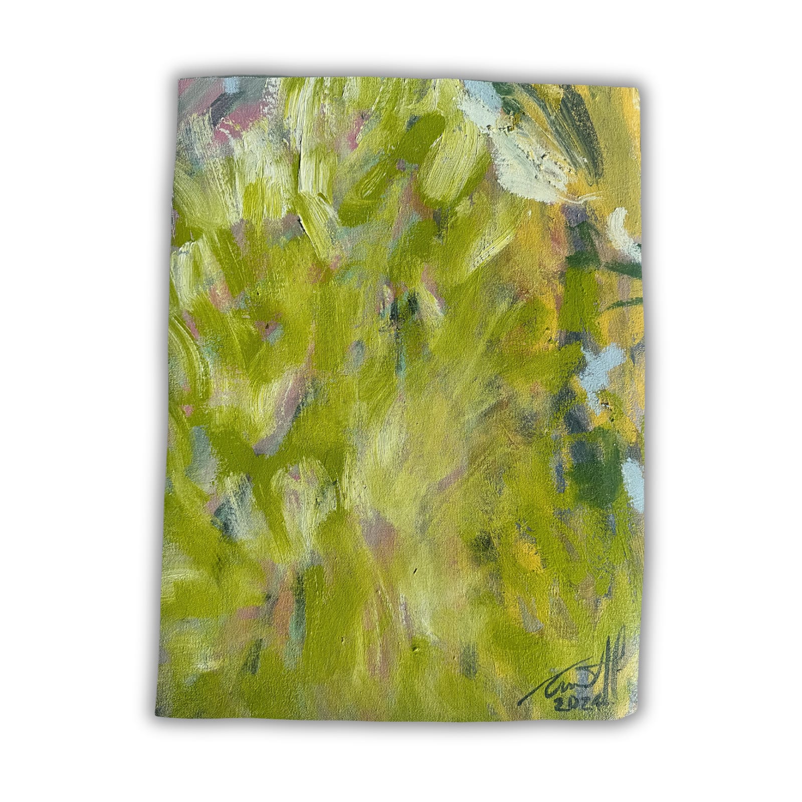 Carmel Van Der Hoeven, Anew 5, 2024