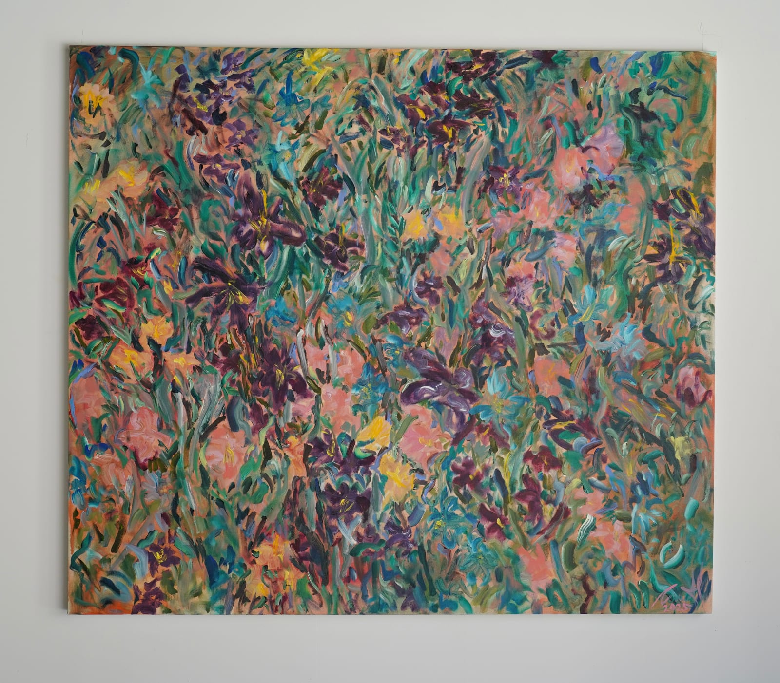 Carmel Van Der Hoeven, 2025