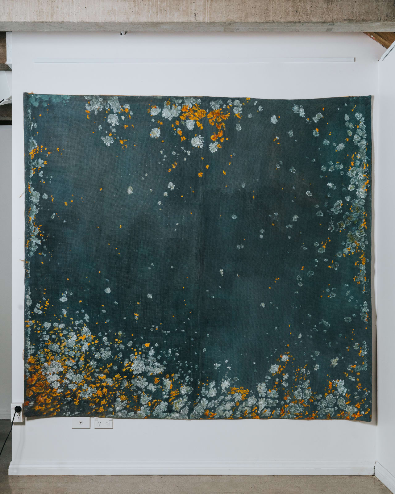 Kerrie Hughes, Lichen 1, 2017