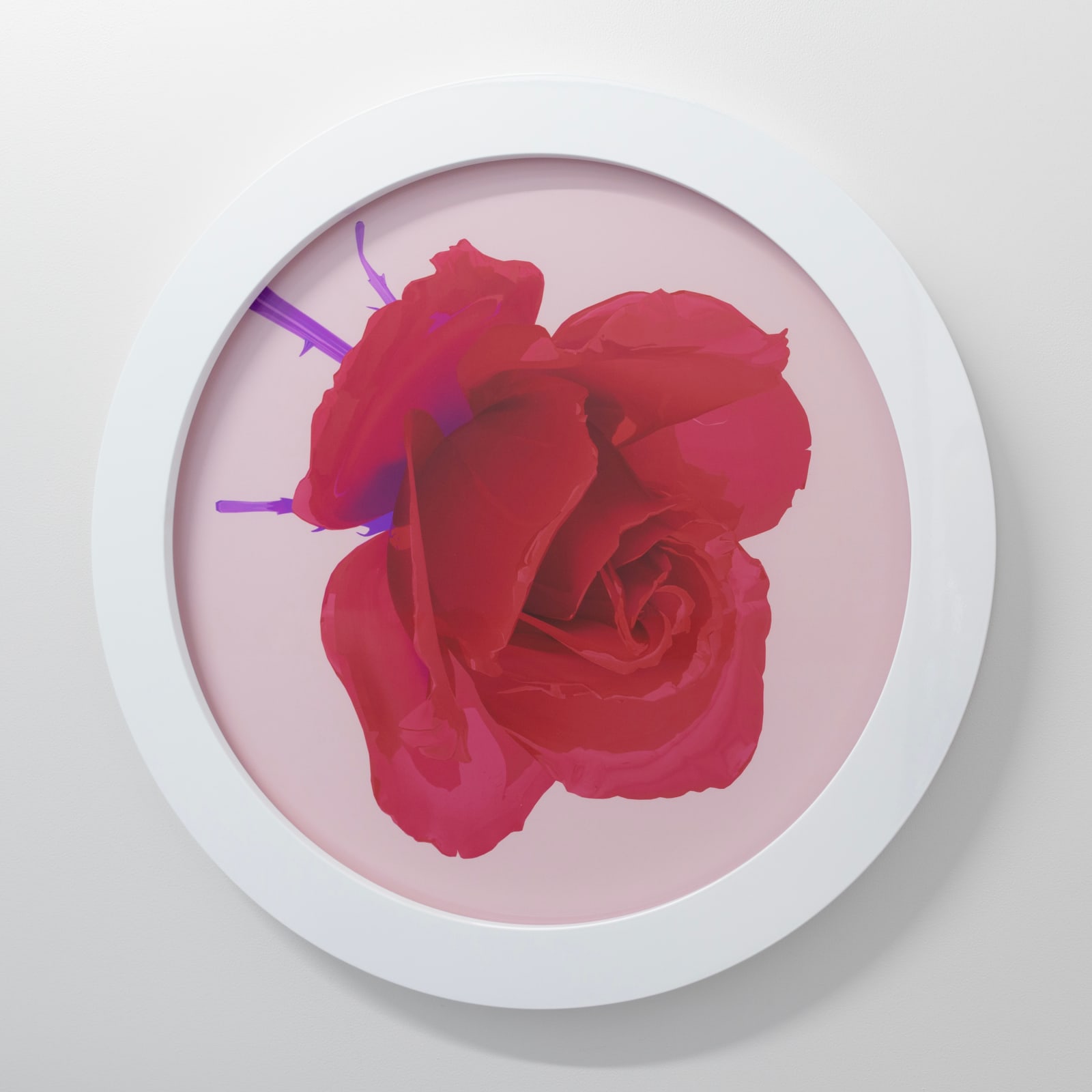 Hye Rim Lee, Red Rose, apricot