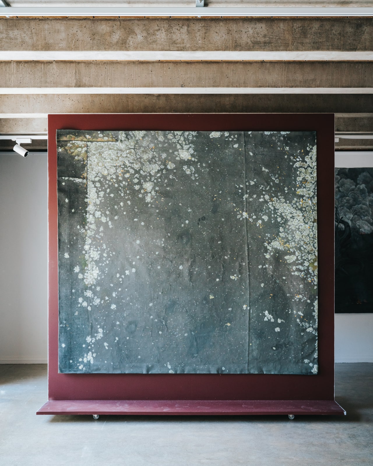 Kerrie Hughes, Lichen 2, 2017