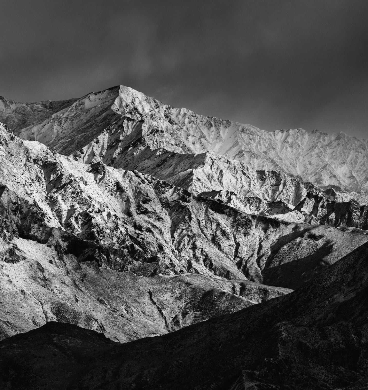 Julian Apse, Skippers, 2023