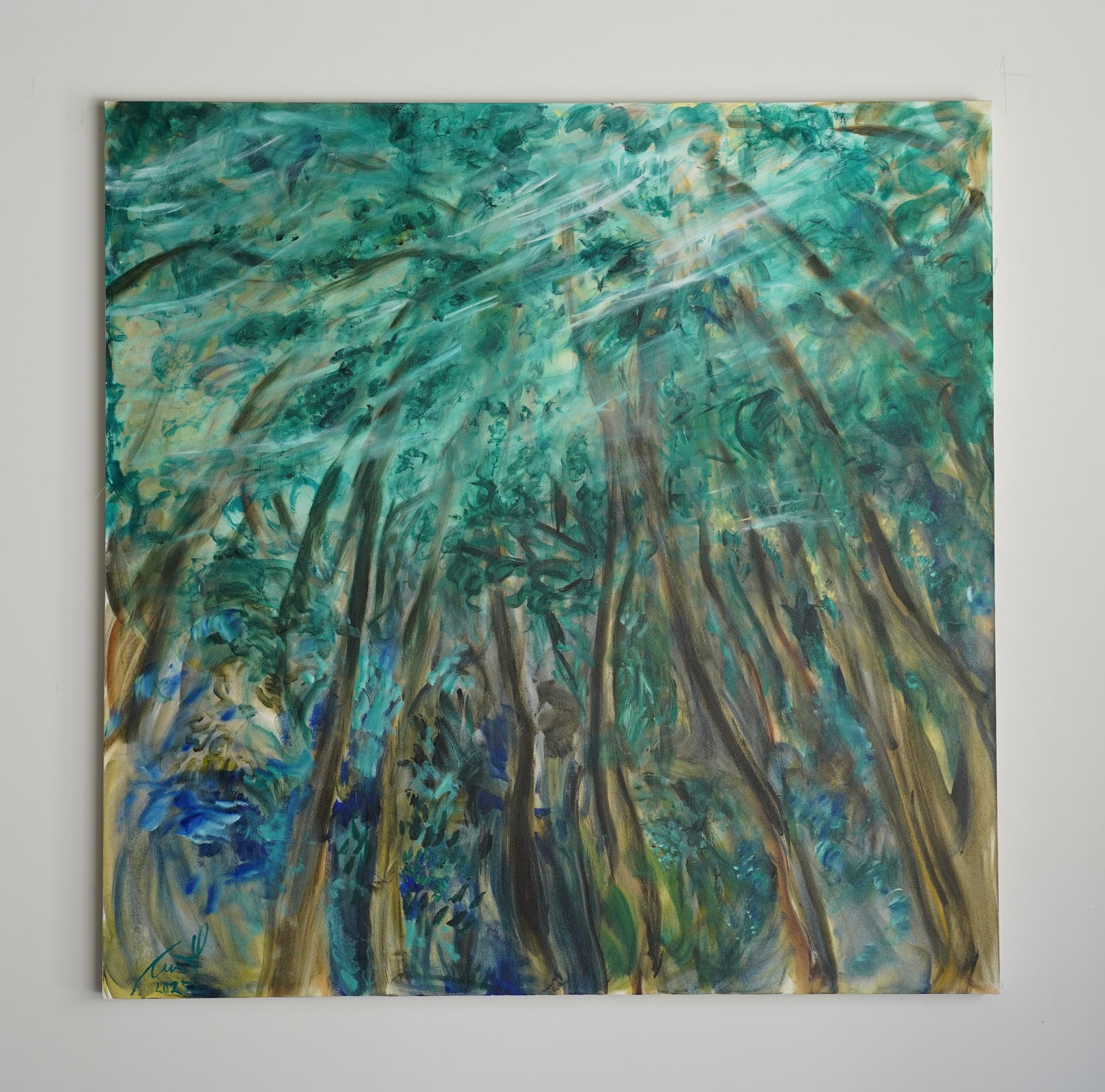 Carmel Van Der Hoeven, 2025