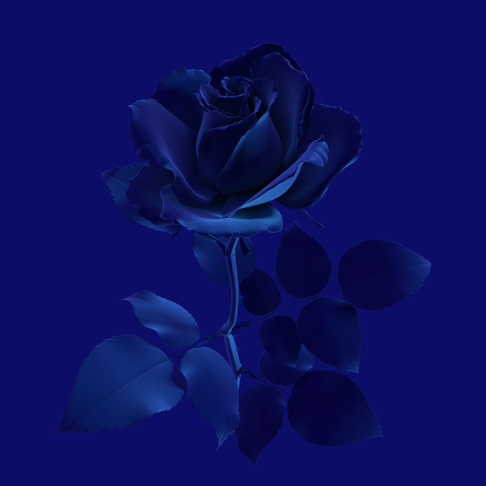 Hye Rim Lee, Blue Velvet Rose