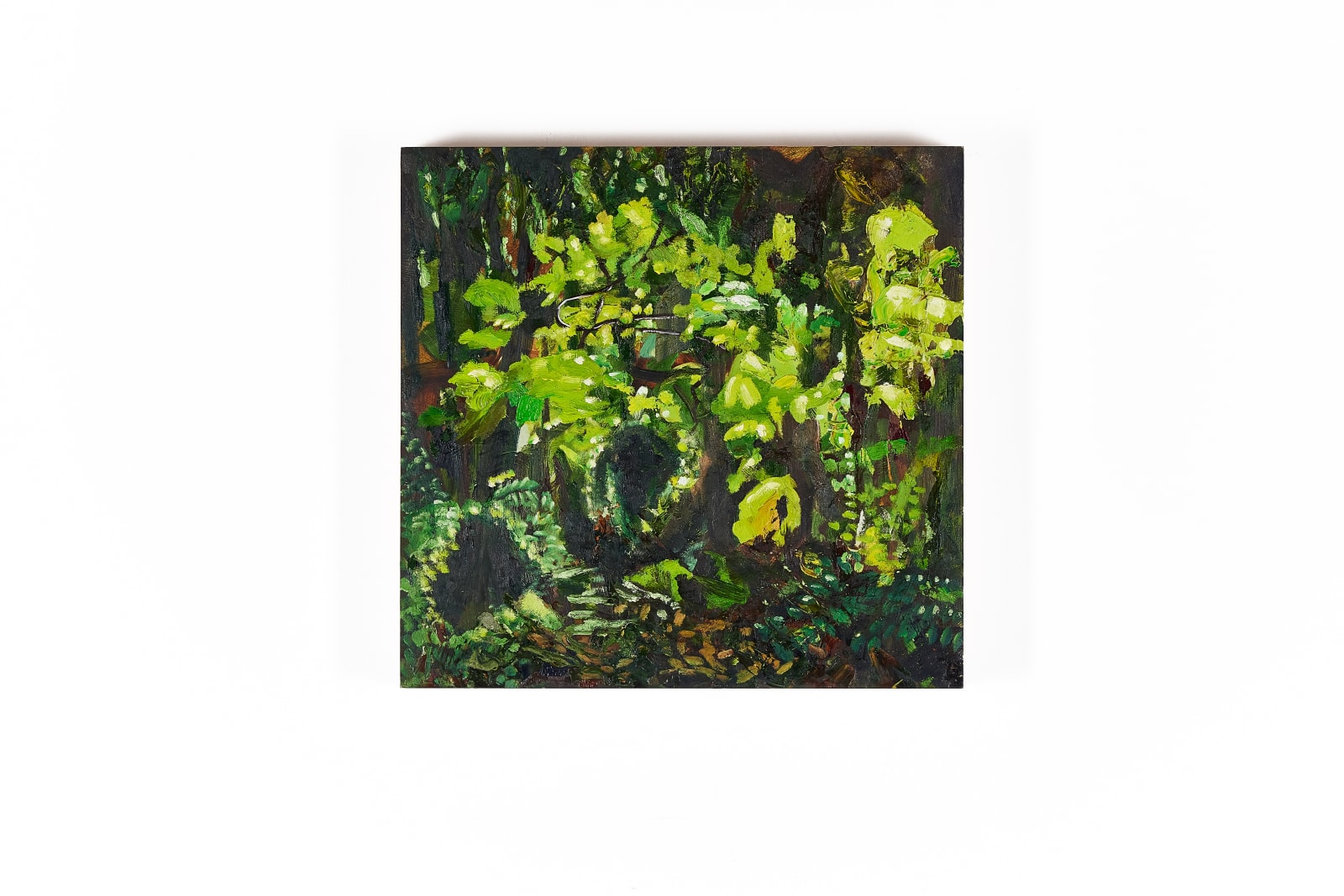 Leighton Upson, Immersion, 2019