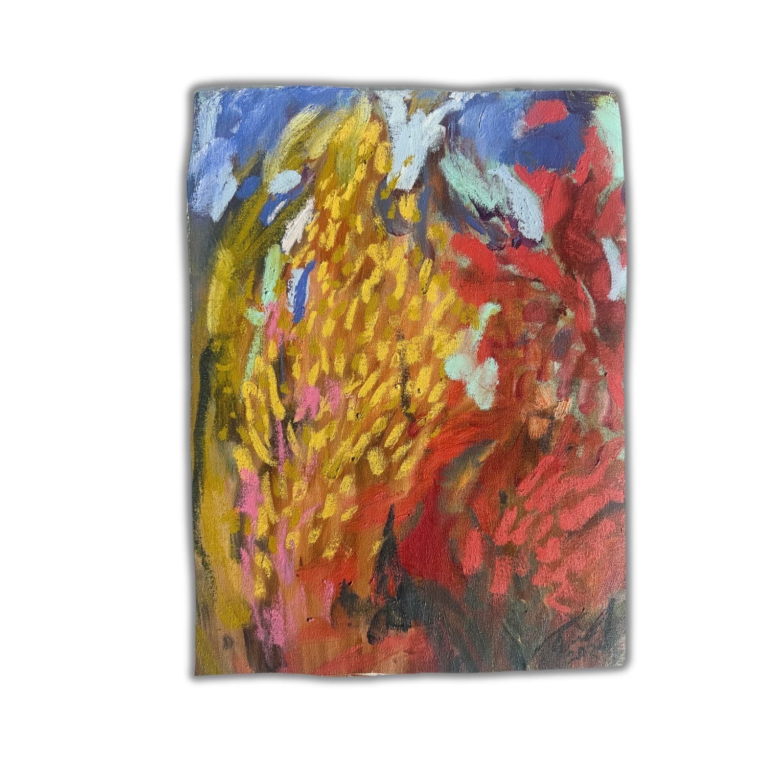 Carmel Van Der Hoeven, Anew 11, 2024