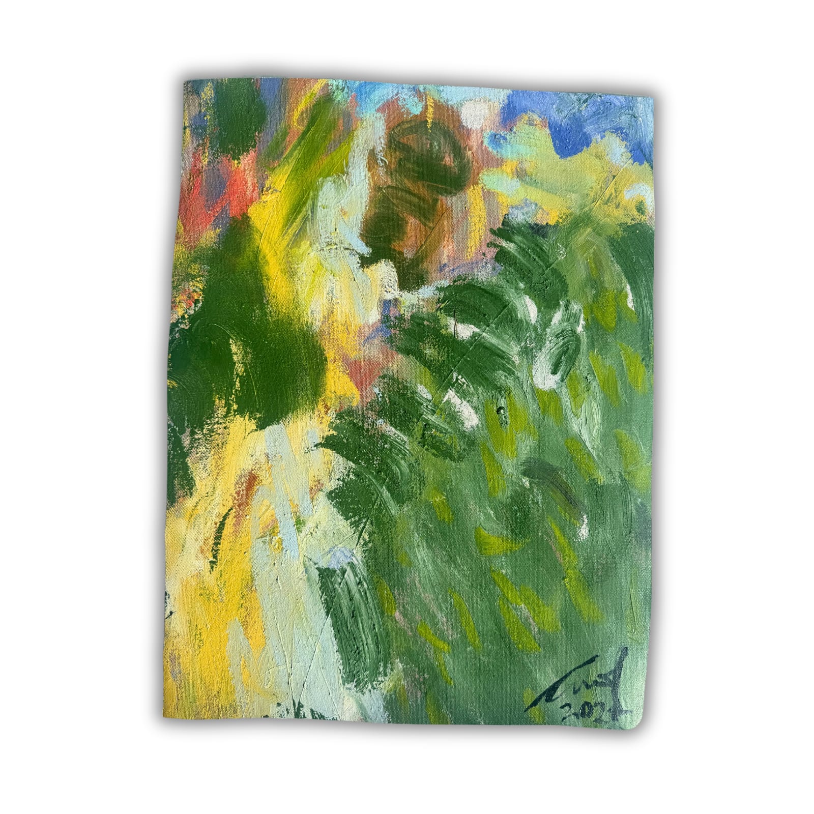 Carmel Van Der Hoeven, Anew 8, 2024