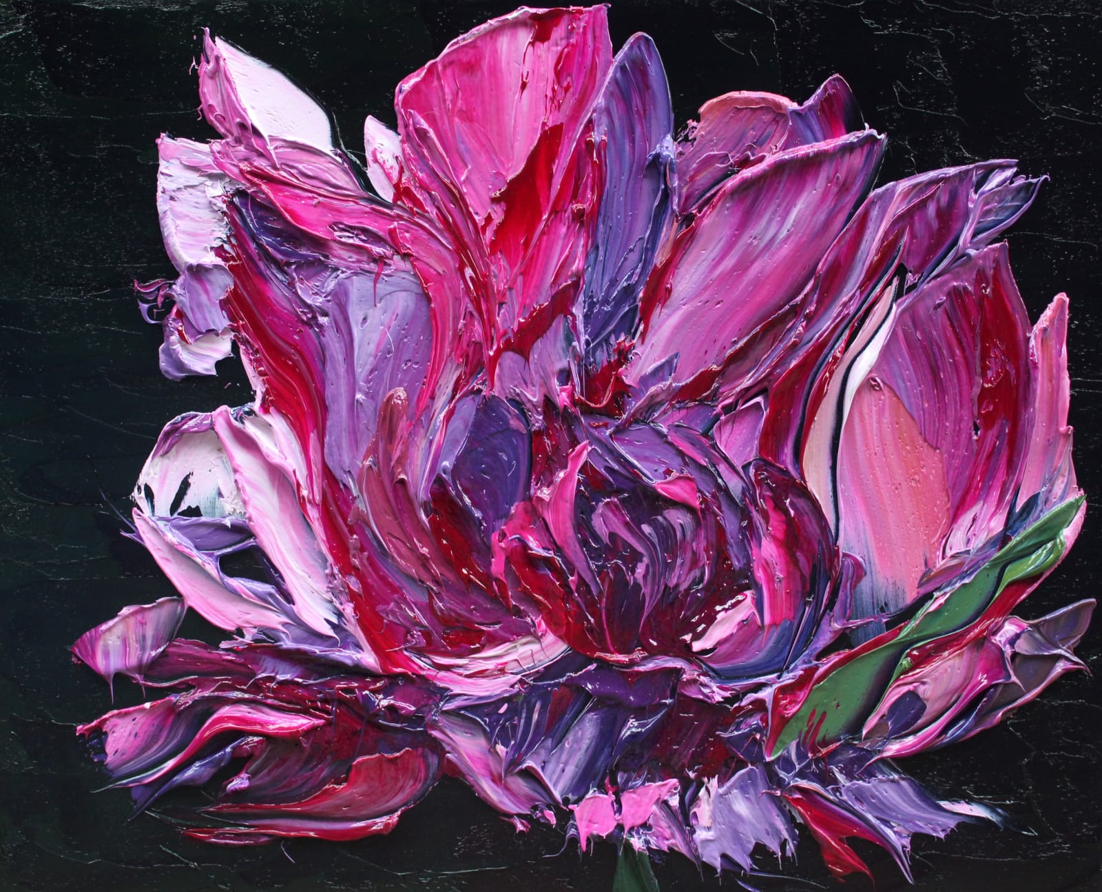 Holly Zandbergen, Tulip In Flight , 2025