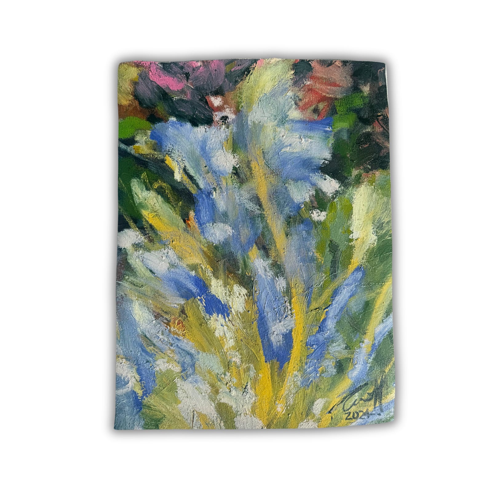 Carmel Van Der Hoeven, Anew 2, 2024