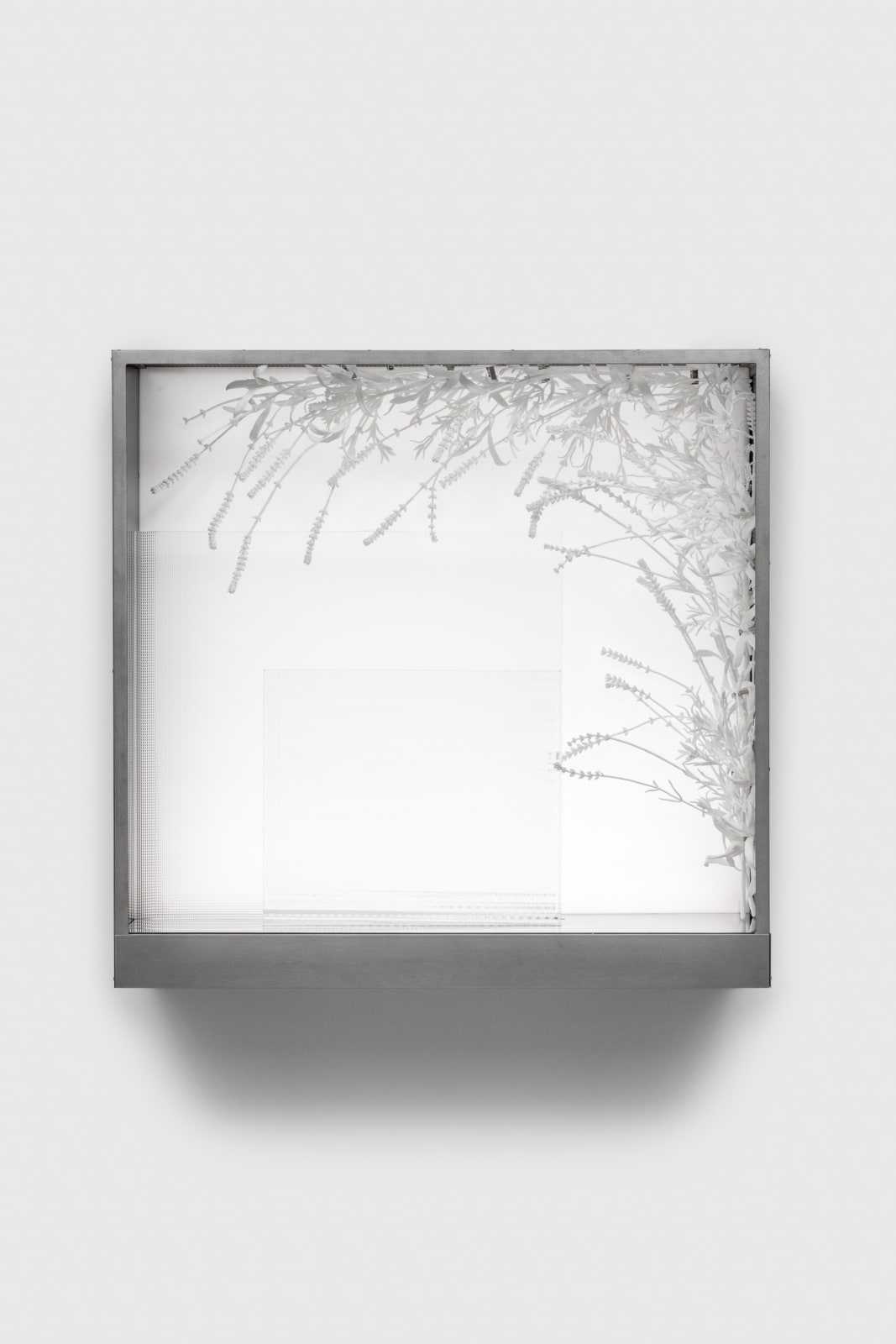 Kat Quay, ImageLayer_TheWildCalmsTheChild.tif (Lavender), 2024