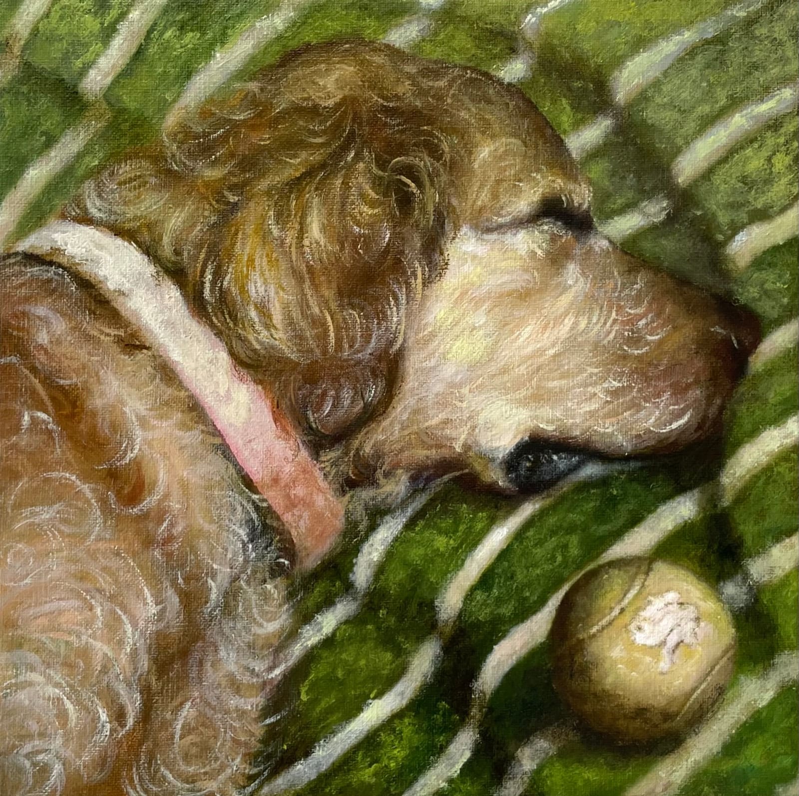 Jon MacGregor, Archie, 2025