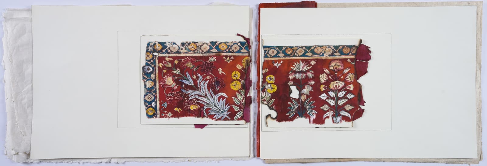 Asma Bahmim, Rose Carpet I, 2025