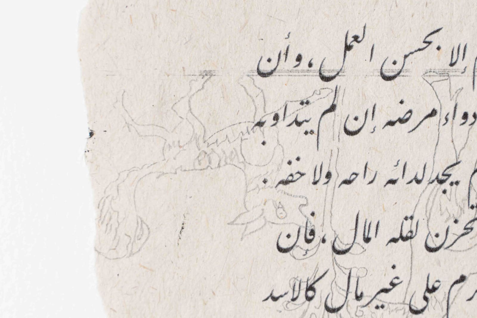 Asma Bahmim, Untitled 2, 2022