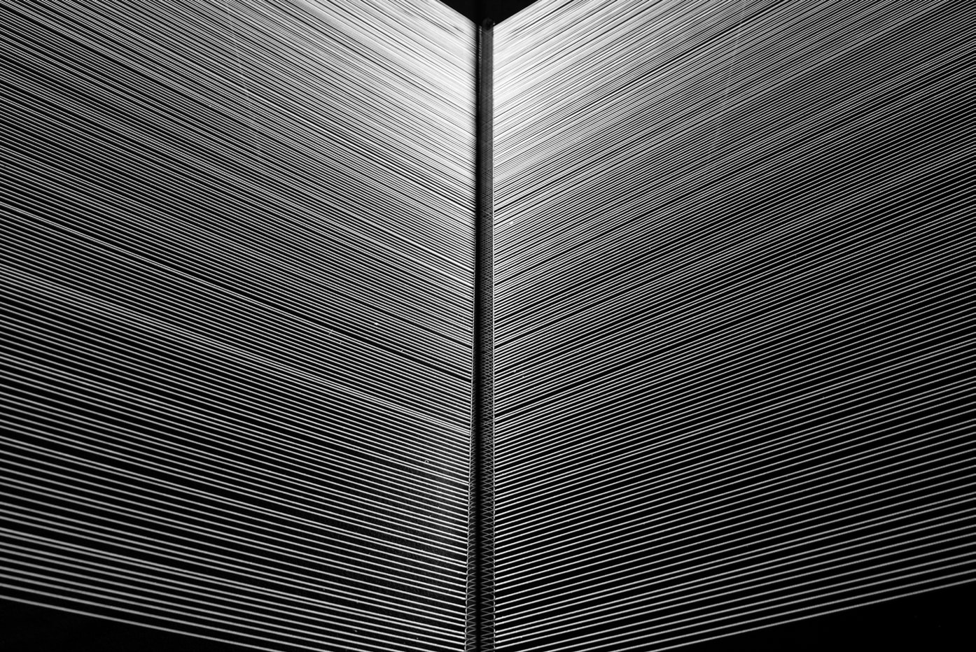 Muhannad Shono, Letters in Light, Lines We Write,, 2023