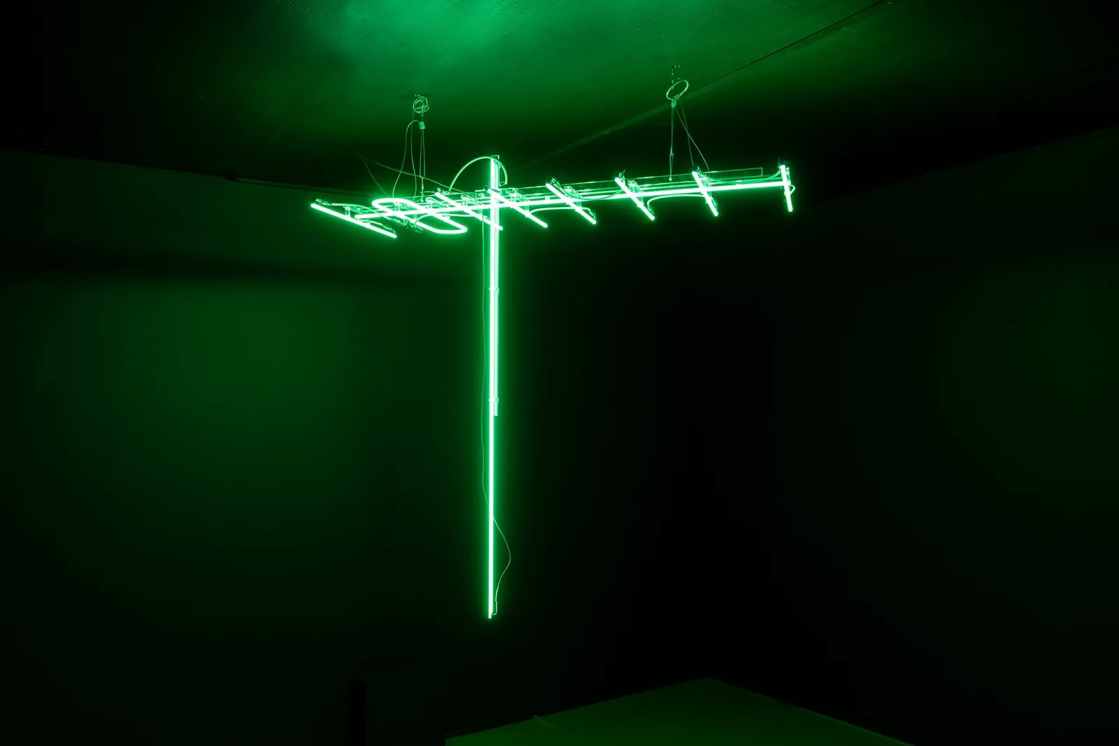 Green Antenna, 2010