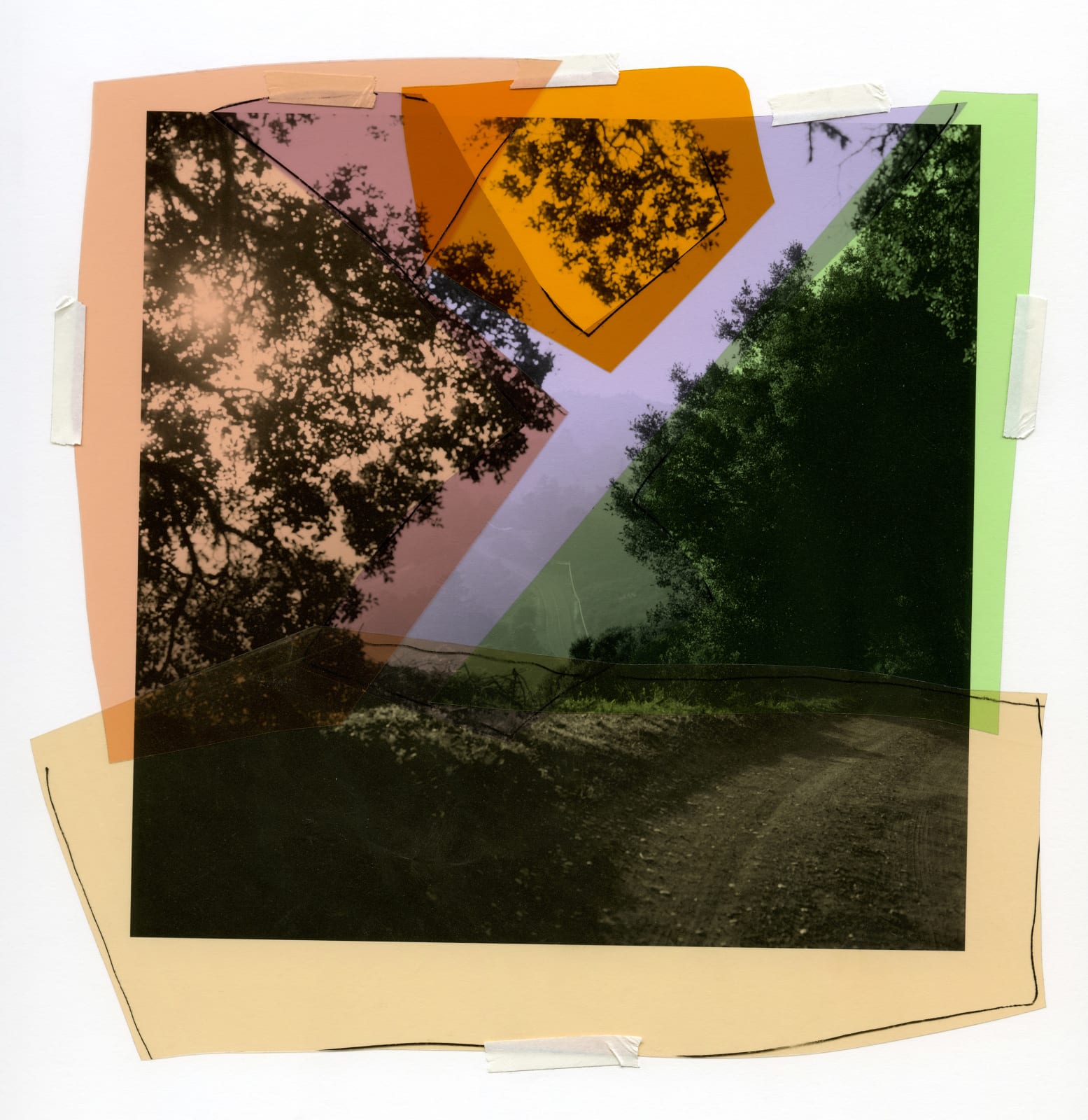 Katie Shapiro, Open Clearing , 2021