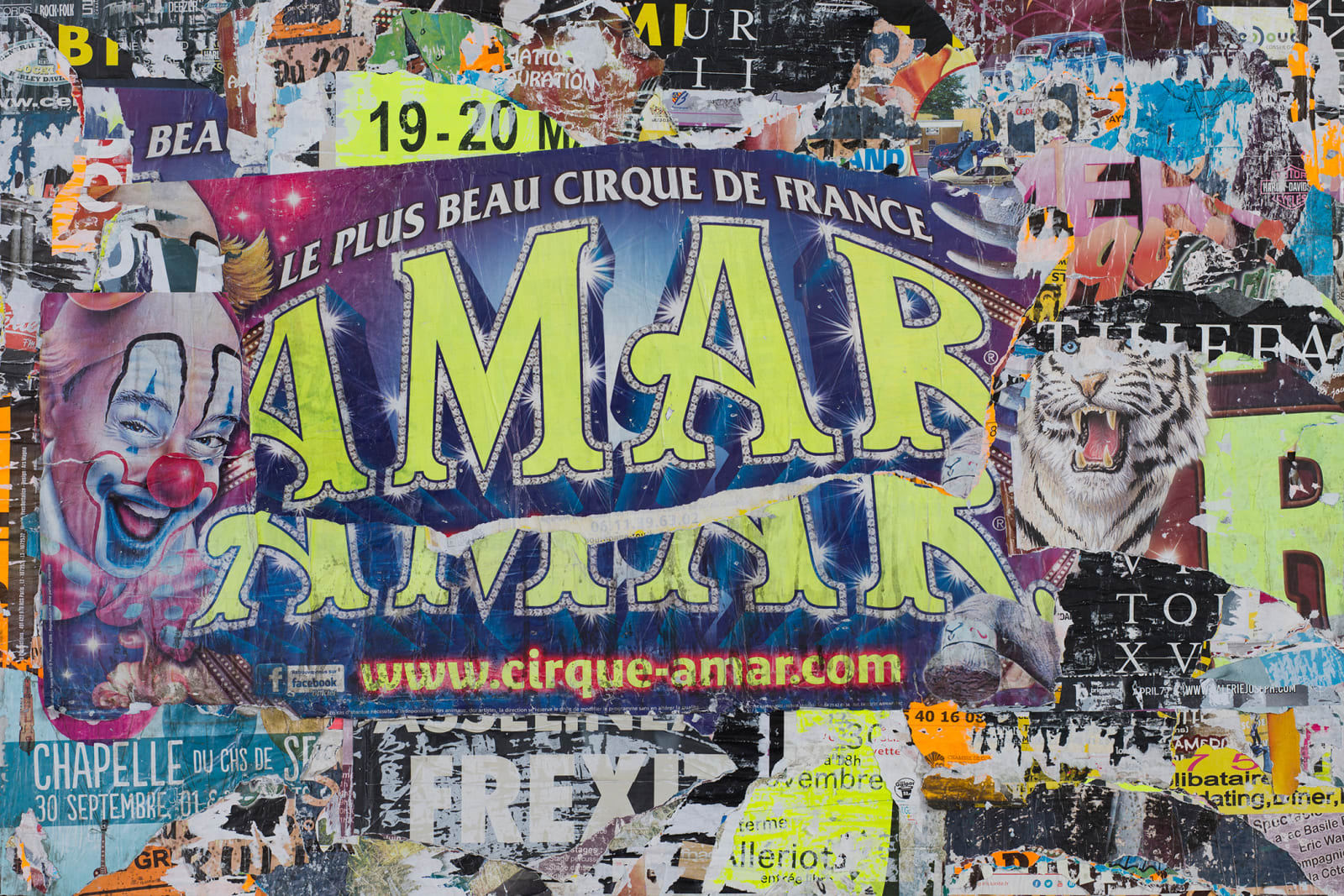 William Greiner, Amar Clown