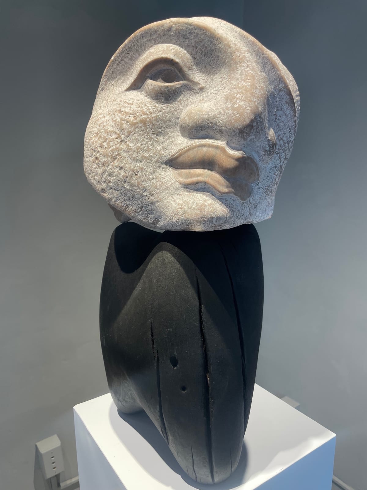 Cristian Ianculescu, Insomnia - Eros, 2025