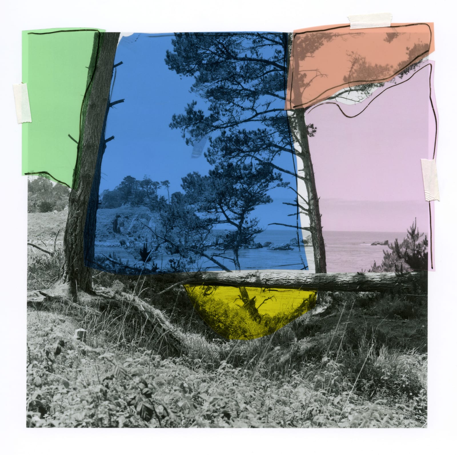 Katie Shapiro, Placed Out , 2020