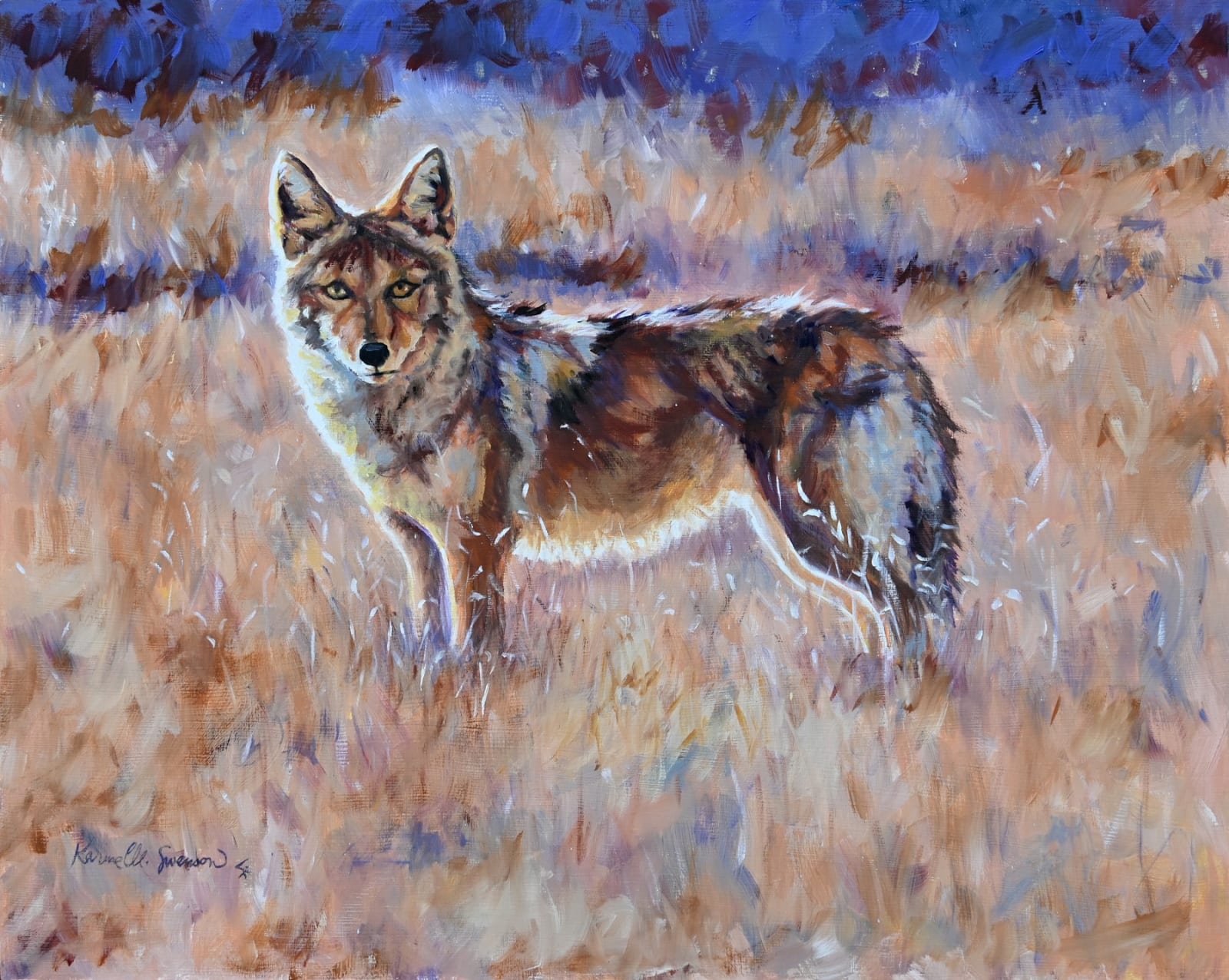 Karine Swenson, Winter Coyote