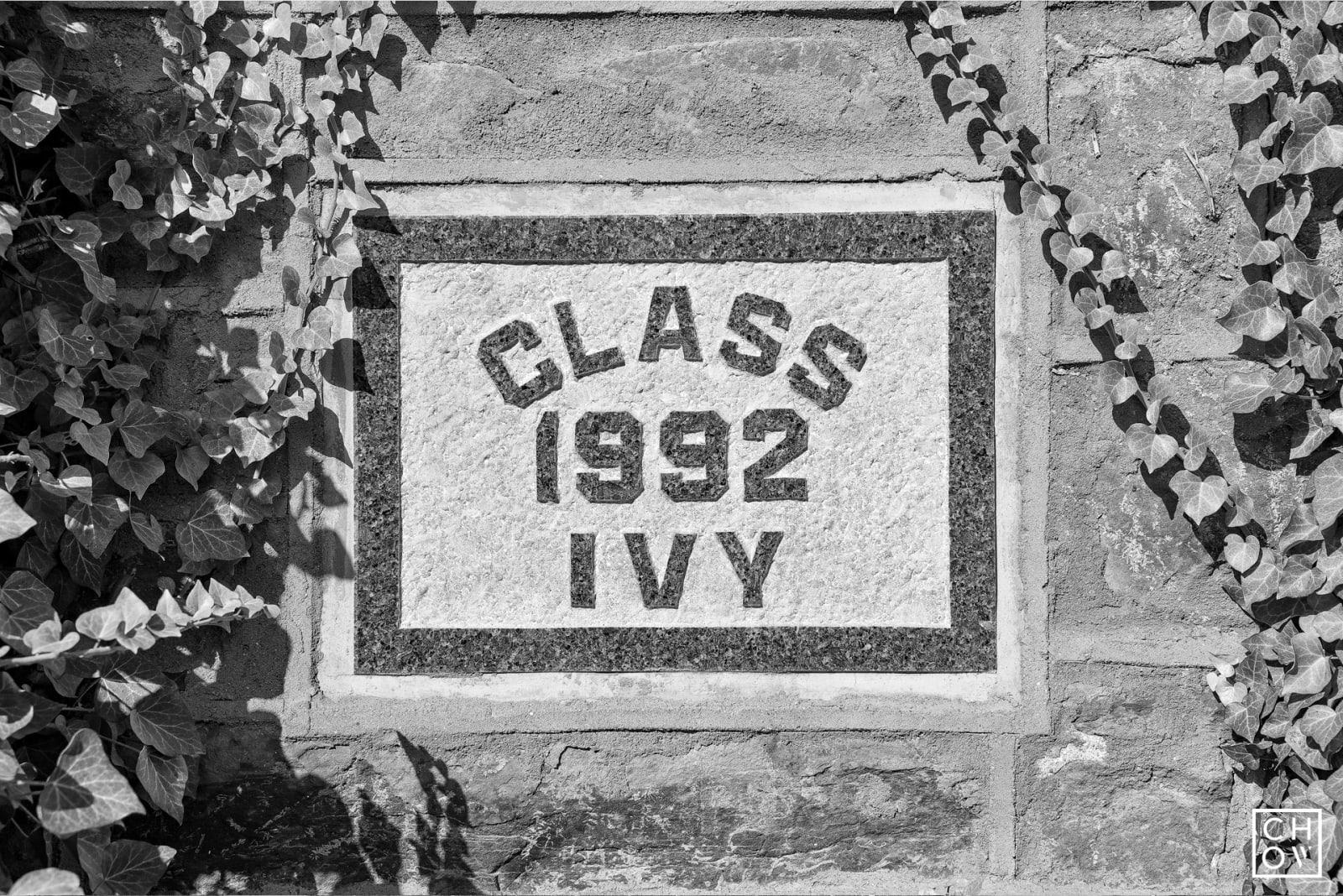 Austin Chow, Class Graduation Bricks // Princeton University, 2017